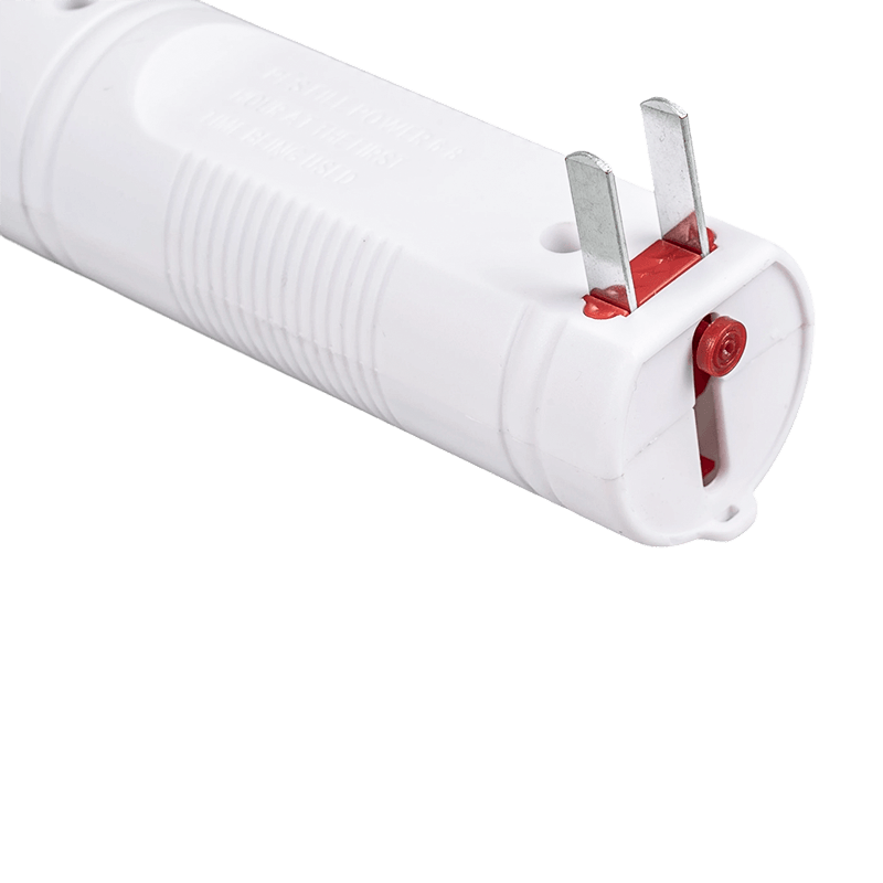 Ceallraí FF-107 3-Dath Luaidhe-Aigéad 250mAh le Breiseán Leictreach Mosquito Swatter Ceallraí FF-107 3-Dath Luaidhe-Aigéad 250mAh le Breiseán Leictreach Mosquito Swatter
